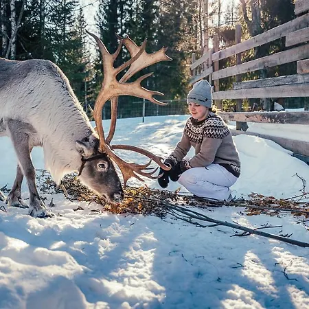 Valkeisen Loma ファームステイ *