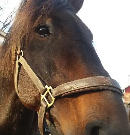 Valkeisen Loma ファームステイ Ähtäri