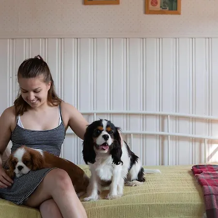 Valkeisen Loma ファームステイ *