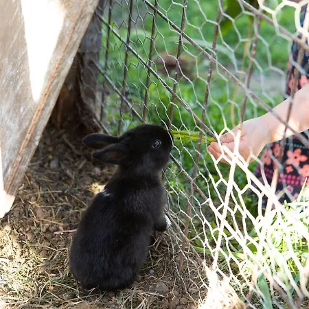 Agroturismo Valkeisen Loma *