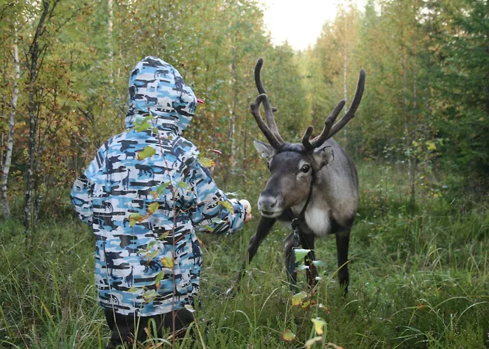 沃尔克森洛马酒店 农家乐