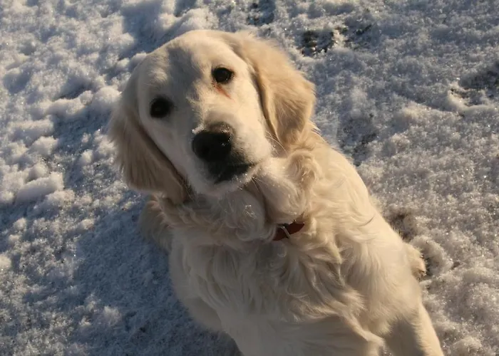 农家乐 沃尔克森洛马酒店 Ähtäri